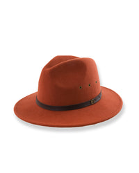 Brown fedora hat with a black band on a white background
