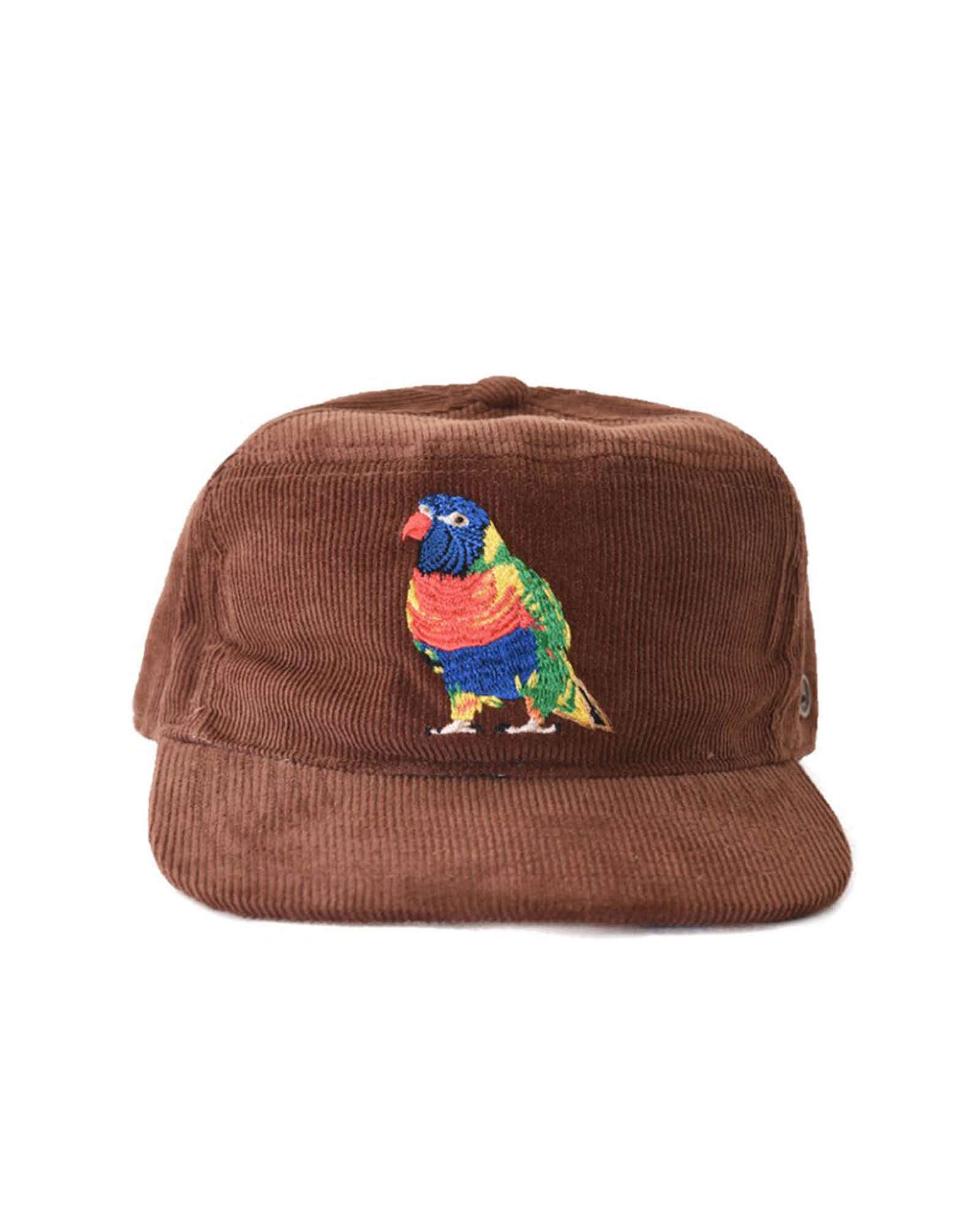 The Stash Cap - Corduroy - Brown Rainbow