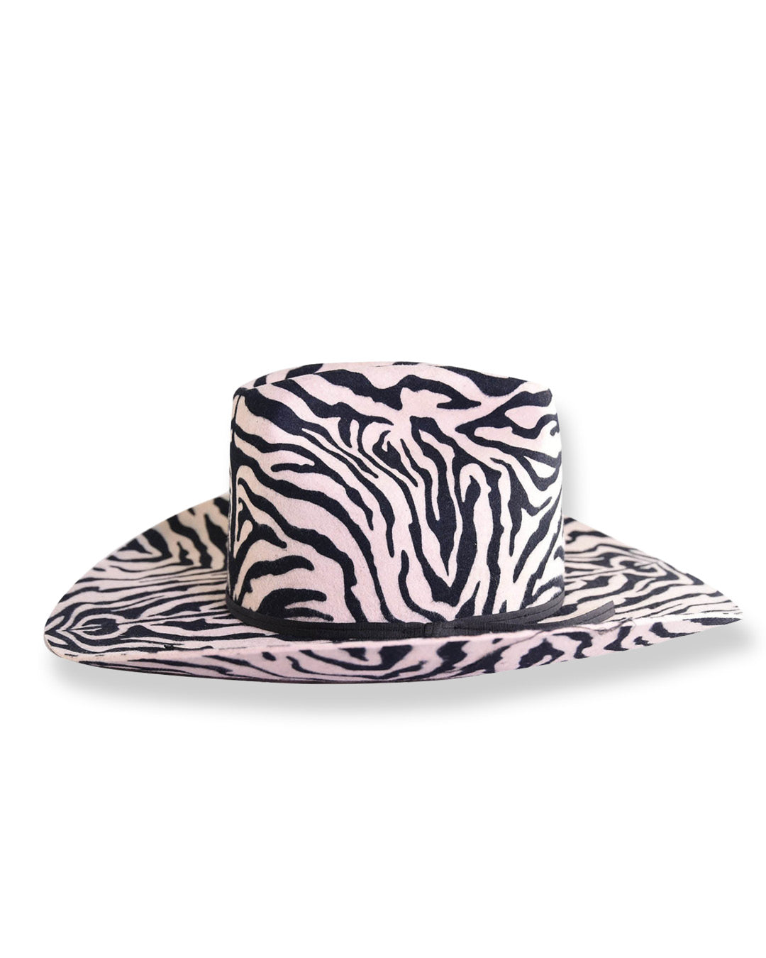 Zebra print hat on a white background