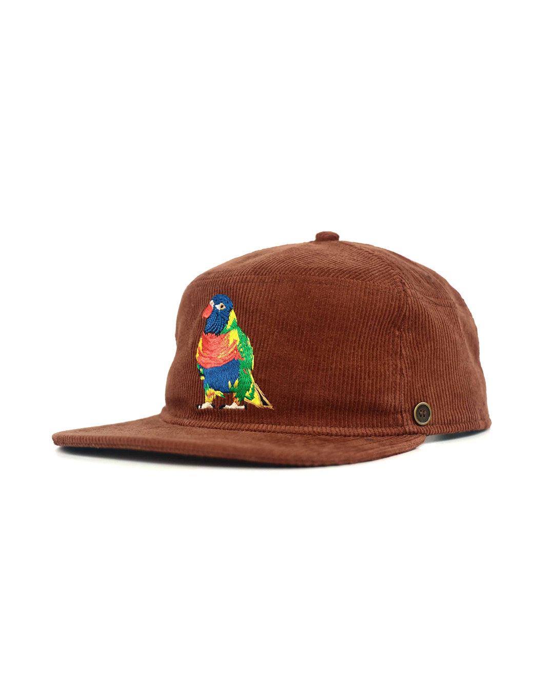 Brown Rainbow Corduroy Stash Cap | Embroidered | Fallen Broken