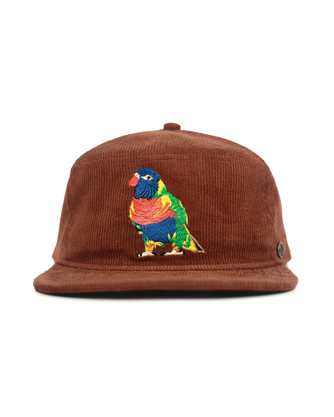 Brown Rainbow Corduroy Stash Cap | Embroidered | Fallen Broken